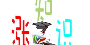 d98f40f4abe4435cb34c3fd7f6de3500